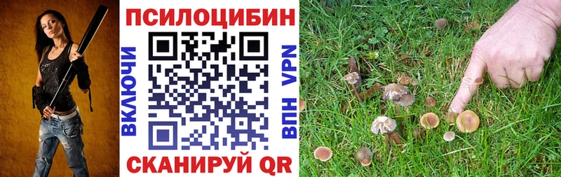 Купить  Лениногорск  Галлюциногенные грибы Cubensis 